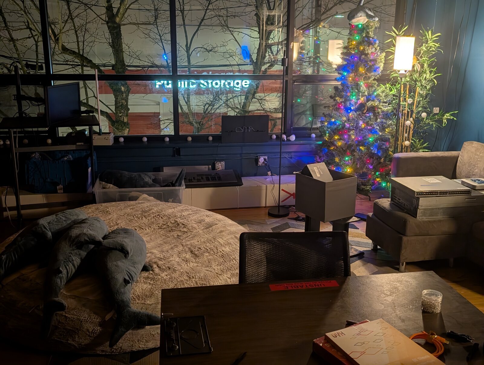 A view of the hangout area overlooking the window, with muliple blåhaj plushies and a Christmas tree visible.