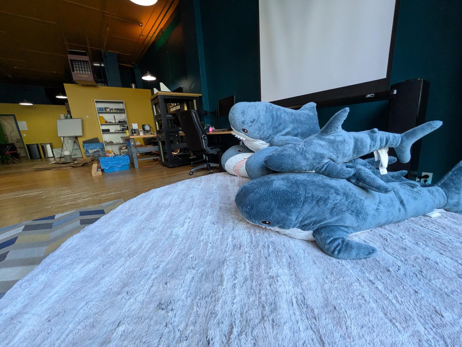 A view down the room, with multiple blåhaj plushies on a large bean bag.