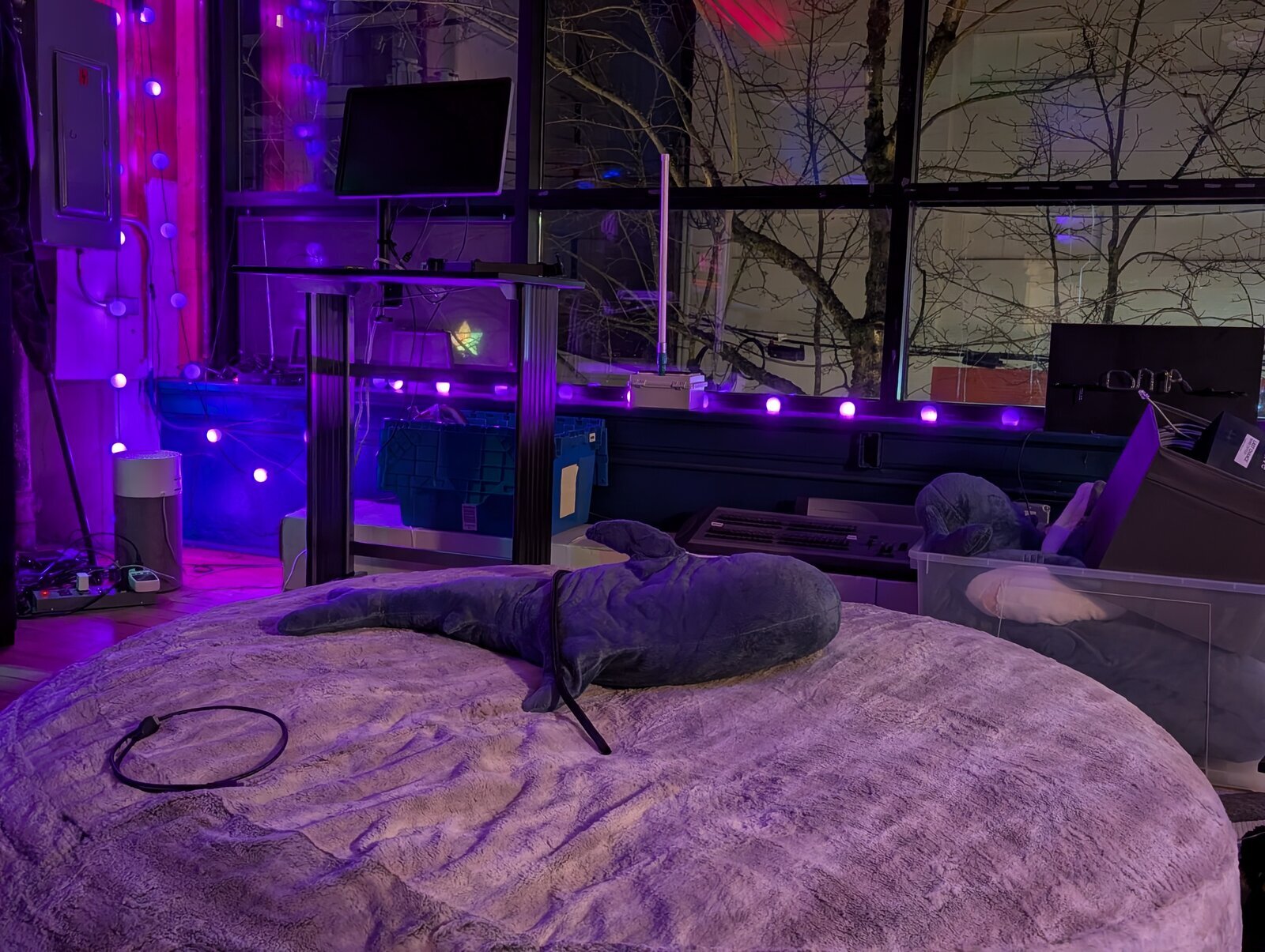 A blåhaj plushie on the bean bag. In the background is our presentation podium and the window.
